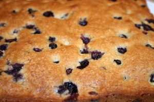 Blueberry Cake
