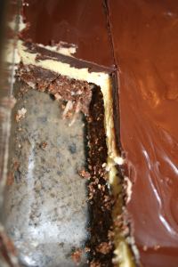 Tray of nanaimo bars