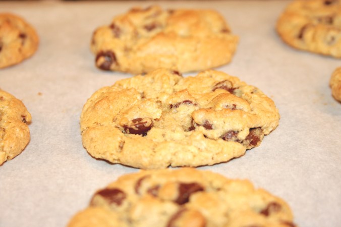 chocolate chip cookie