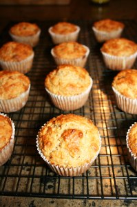 BOD Muffins