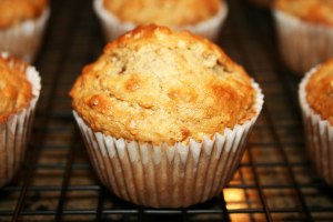 BOD Muffins