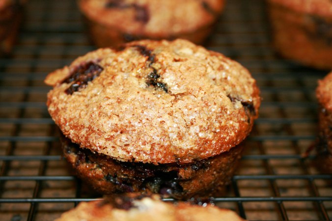 Blueberry Oatmeal Muffins