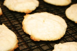 Cream Cheese Cookies